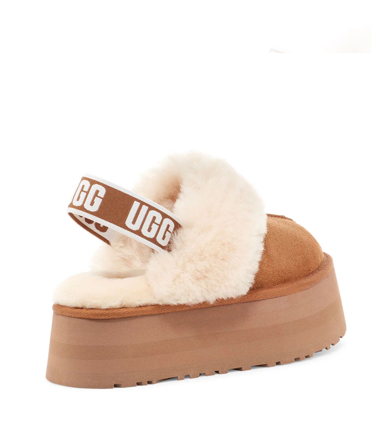 583F2622-3352-4BF4-96DC-35A96F94402B אגג פלטפורמה סגור – תמונה 1