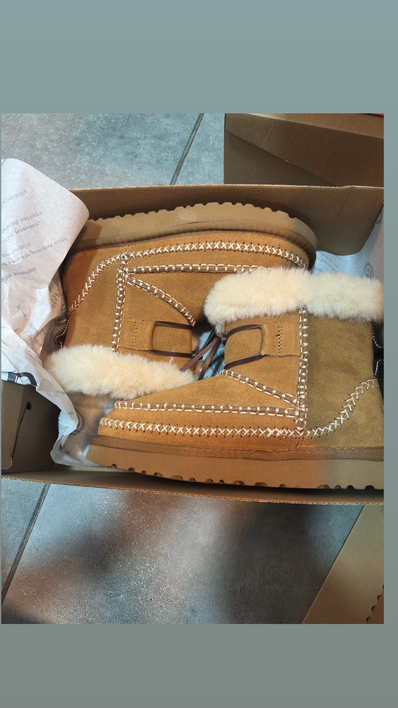 CC83BC8B-BED8-4577-AA68-70F1E4ED98D0 מגף האג אינדיאני – תמונה 1